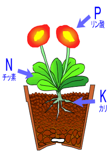 肥料図1