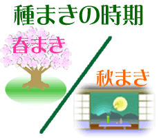 種まきの時期
