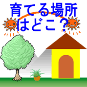 育てる場所はどんなところ