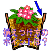 植えつけ方のポイント