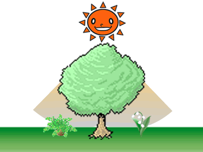 ガーデニング、半日陰（明るい日陰）