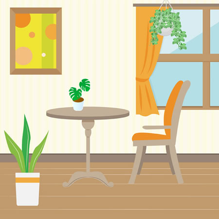 観葉植物の購入後の管理