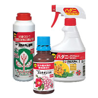 観葉植物の置き場所