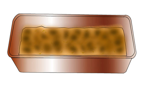 培養土をいれる