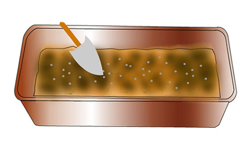 緩効性肥料を少量入れ混ぜる