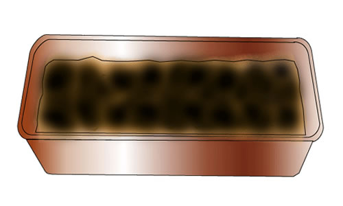 土をかけ表面の土を湿らせる