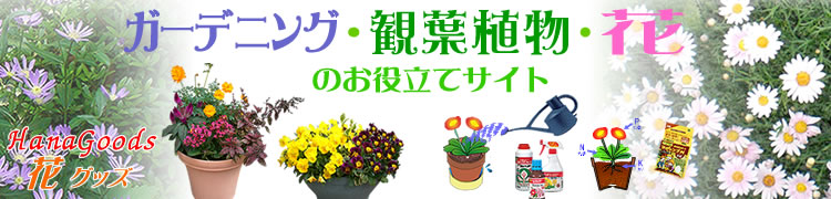 ガーデニング・観葉植物・花のお役立てサイト