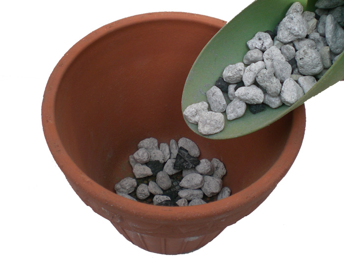 鉢に鉢底石を入る