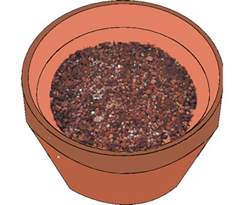 鉢に培養土を入れる